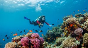 A backpacker using their backpacker insurance for adventure sports while scuba diving.